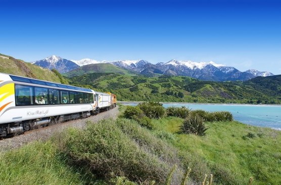 Coastal Pacific Day Excursion - Christchurch-Kaikoura-Christchurch