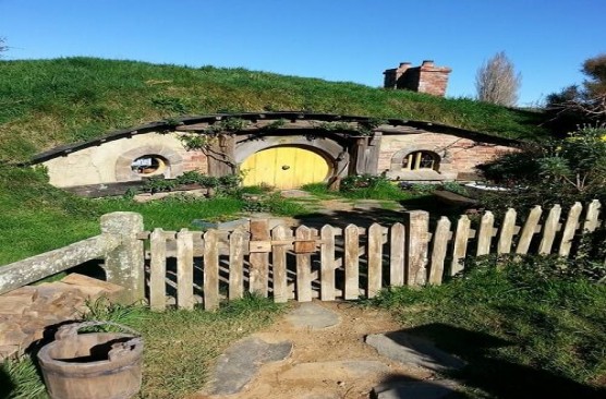 Hobbiton Day Tour (Auckland to Auckland) 