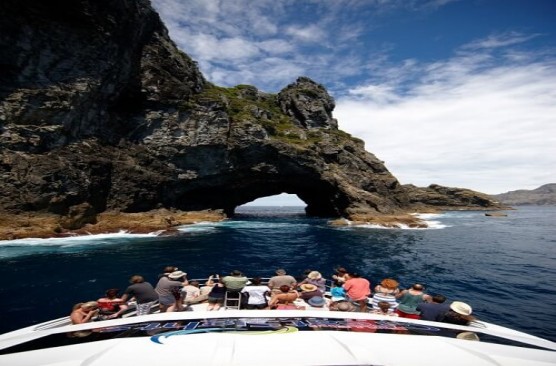 Bay of Islands Day Tour & Hole in the Rock Dolphin Cruise ex Auckland Return