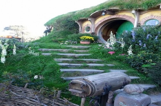 Hobbiton Day Tour ex Auckland to Rotorua 