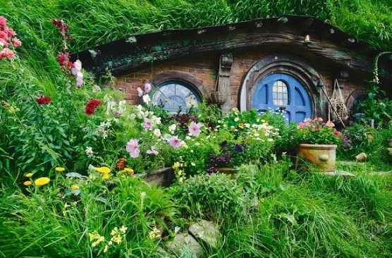 Waitomo & Hobbiton Experience Auckland Return