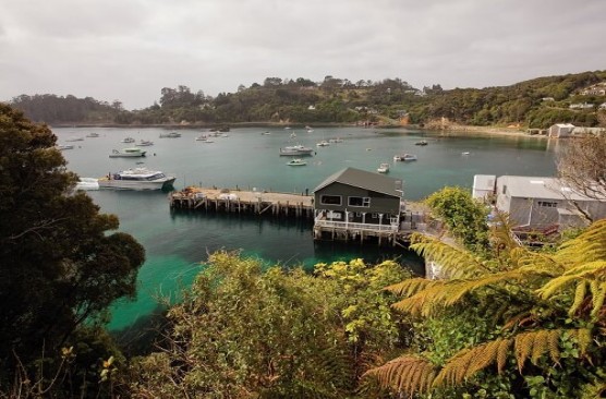 Stewart Island Ferry & Coach - Invercargill to Stewart Island