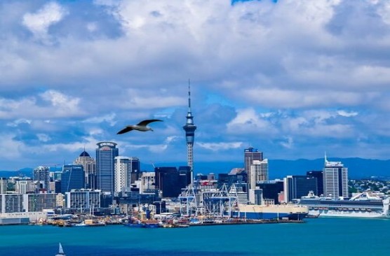 Auckland City Sights Tour & Habour Cruise