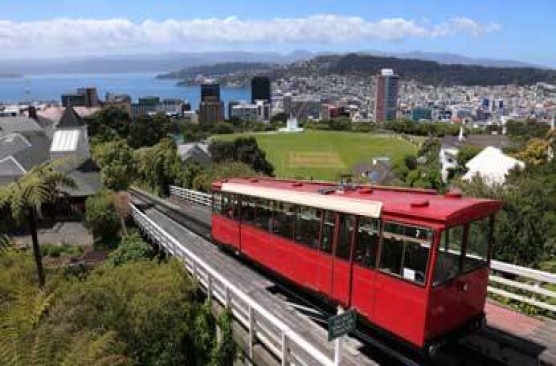 Wellington City and Bays Tour (afternoon)