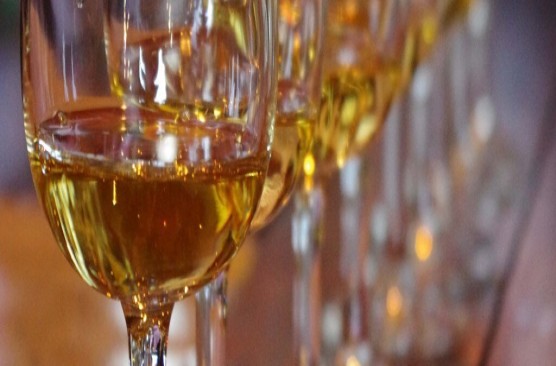 Premium ‘Views, Vines and Wines’