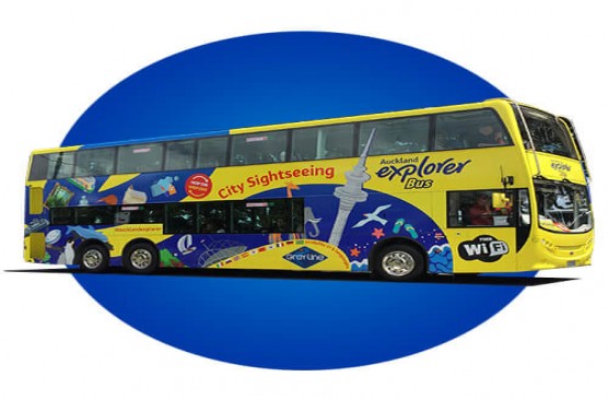 Auckland Explorer Bus 24 Hour Pass