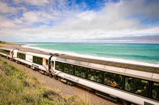 Coastal Pacific Day Excursion - Christchurch-Picton-Christchurch