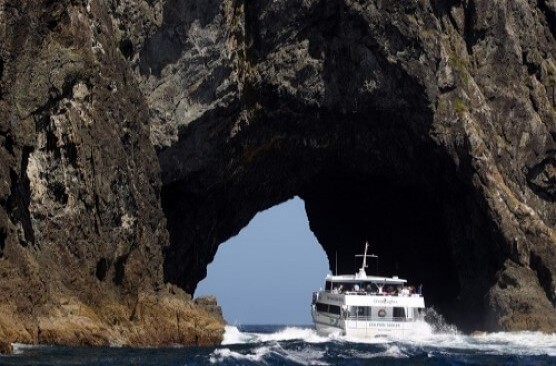 Hole in the Rock Cruise with Dolphin Viewing (Morning) 