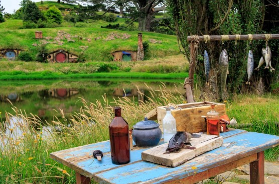 Hobbiton Movie Set Tour