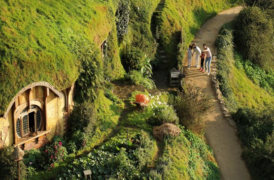 Hobbiton Movie Set and Buffet Lunch (Rotorua-Rotorua)