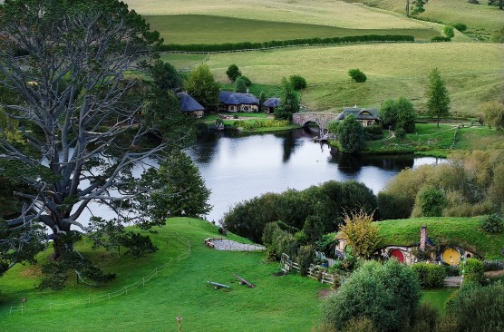 Hobbiton Movie Set and Buffet Lunch (Rotorua-Auckland)