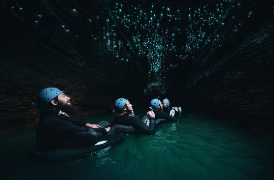 Waitomo Caves, Picnic Lunch and Hobbiton Movie Set (Auckland-Auckland)