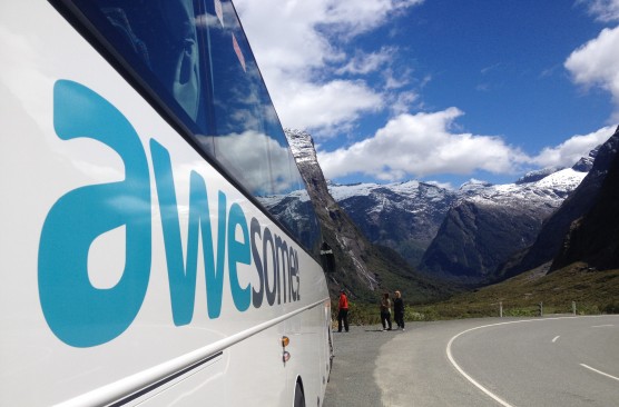 Milford Sound Nature Cruise (Queenstown-Queenstown)