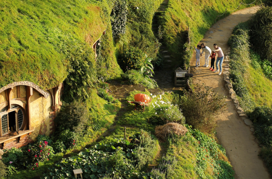 Waitomo Caves, Picnic Lunch and Hobbiton Movie Set (Auckland-Rotorua) GL16WHR (0745 - 1815)