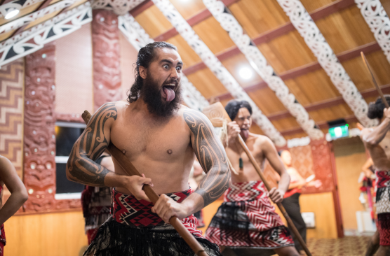 Hobbiton & Te Puia Te Po Combo Day Tour (Rotorua-Rotorua) GS47RHTP (0815 - 1600)