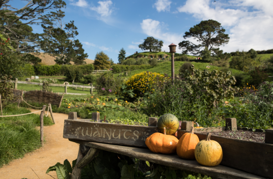 Hobbiton Movie Set Tour & Buffet Lunch (ROT-AKL) GL47HA (0815 - 1530)